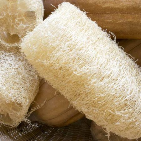 Luffa spugna vegetale