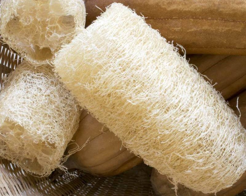 Luffa spugna vegetale